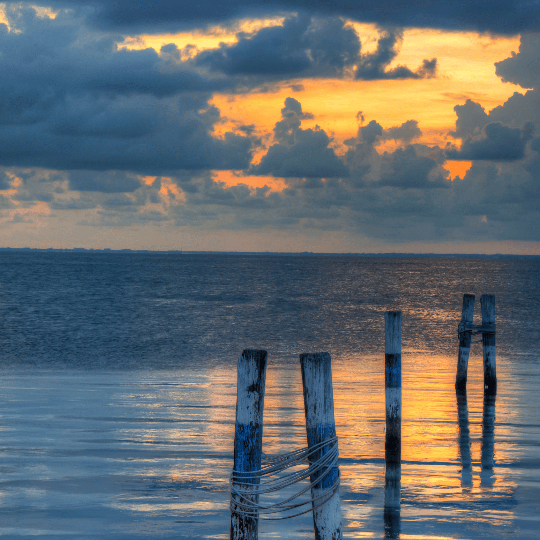  Therapy in Tampa, FL can provide a safe and supportive environment for clients to explore their thoughts, feelings, and behaviors, and develop skills and strategies for managing life's challenges. | 33612 | 33618 | 33624 